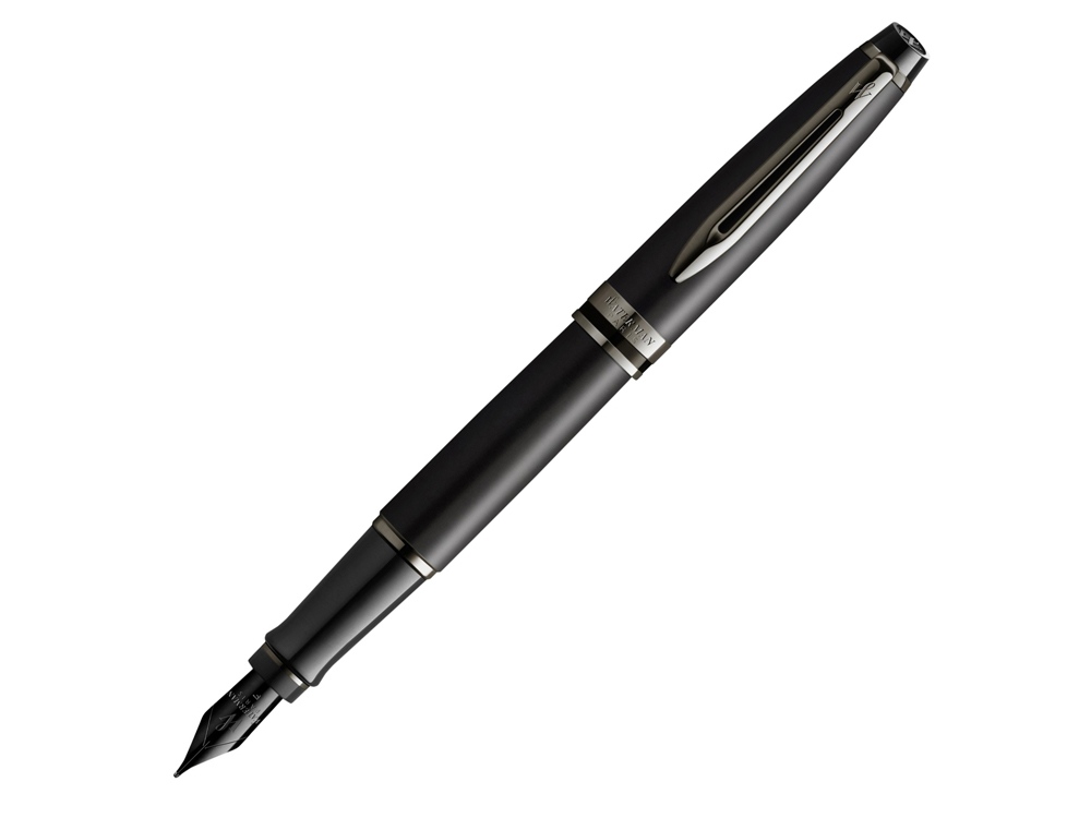 Ручка перьевая Expert Metallic, F, черный
