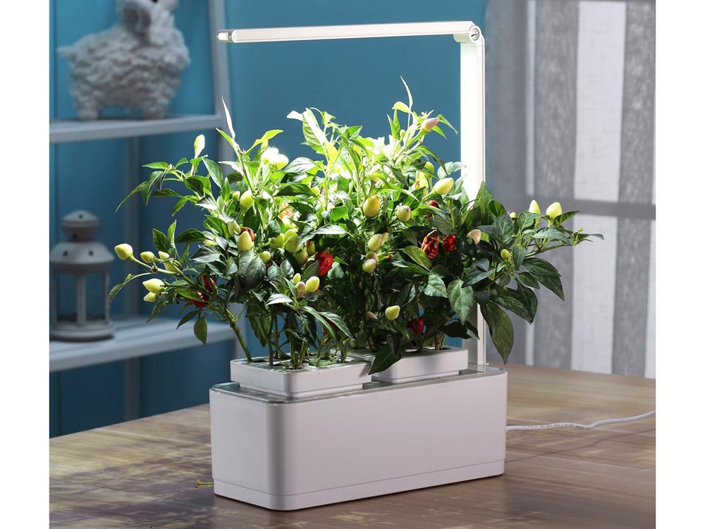 Компактный смарт-сад «iGarden LED» с подсветкой, белый, серый — изображение 3