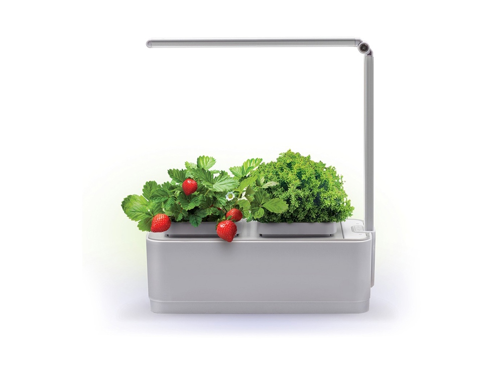 Компактный смарт-сад «iGarden LED» с подсветкой, белый, серый
