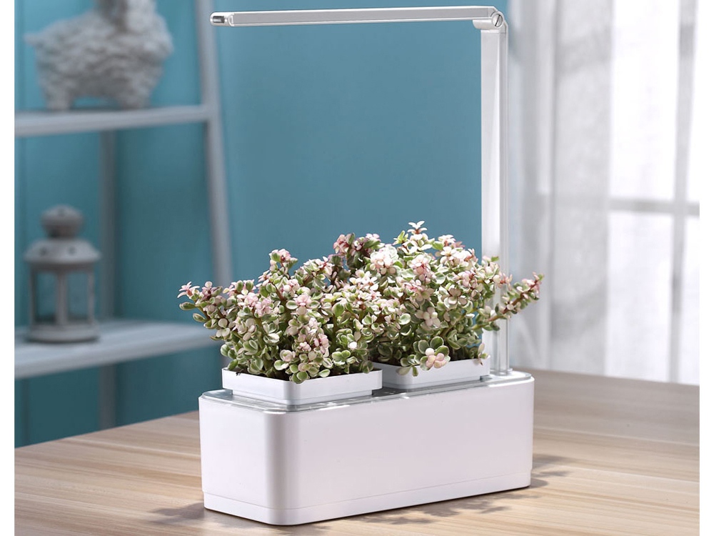 Компактный смарт-сад «iGarden LED» с подсветкой, белый, серый — изображение 4